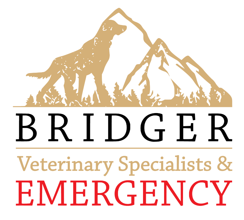 logo bridger